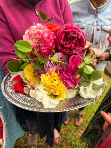 Balmoral-Ashram-Flowers-Feb-2026-1