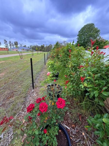 Balmoral-Ashram-Flowers-Feb-2026-13