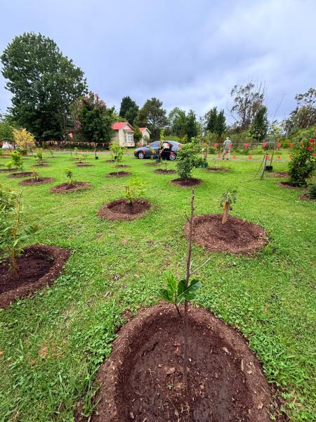 Balmoral-Ashram-Flowers-Feb-2026-20