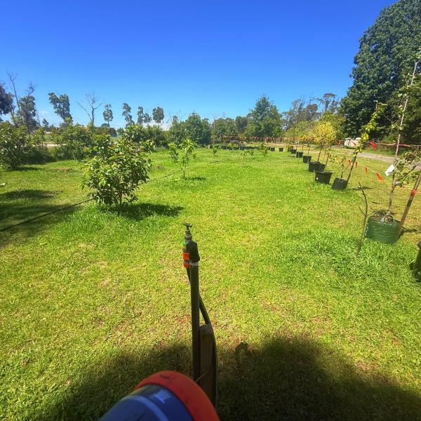 Balmoral-Ashram-Flowers-Feb-2026-22