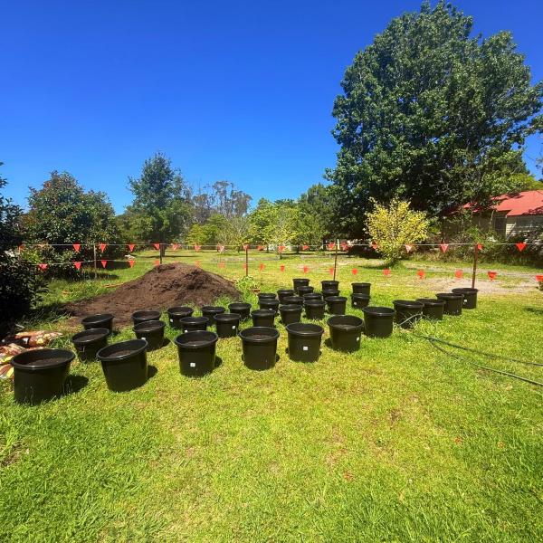 Balmoral-Ashram-Flowers-Feb-2026-23