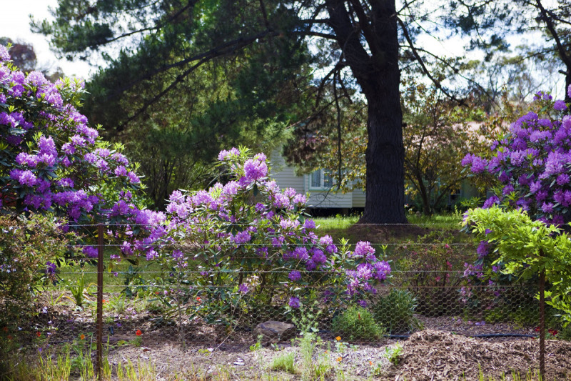 Balmoral-Ashram-NSW-10