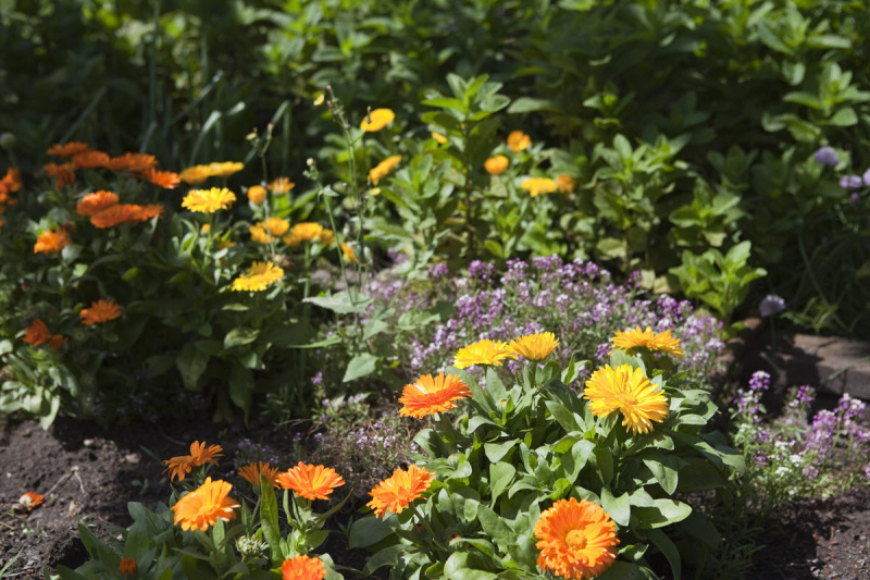 Balmoral-Ashram-NSW-11