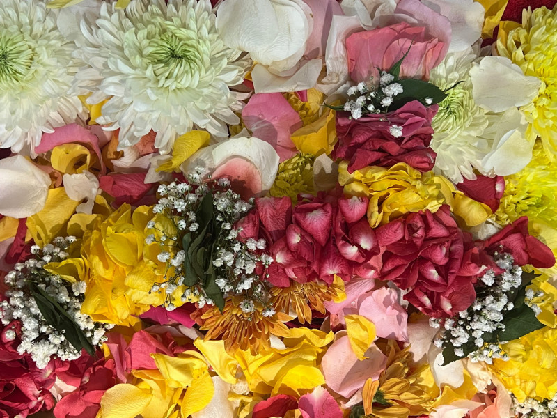 Diwali-Puja-Hiawatha-10