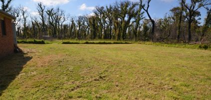 For Sale – Vacant land adjacent to our Balmoral NSW property
