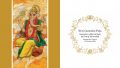 Nirmala Vidya Collection – Next book