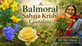 Balmoral Flowers Krishi Gardens 2026
