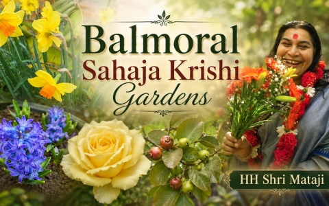Balmoral Flowers Krishi Gardens 2026