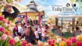 Music of Joy Brings Self Realisation to Tulip Time in Bowral -13 Sept 2026